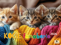 Kalendarz albumowy KSA v.2 Kocie Fanaberie Pan Kalendarzyk